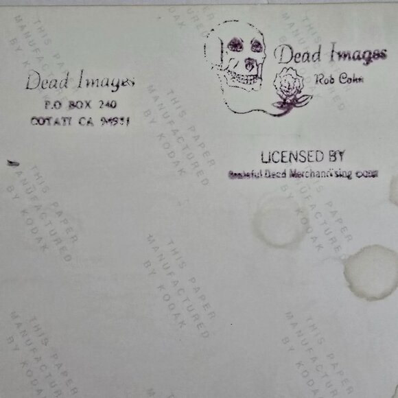 Grateful Dead Licensed Concert Photo By Rob Cohn Dead Images 1990s Live Band Per - Picture 2 of 15